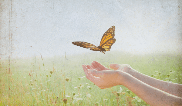 Cuando la terapia no avanza: escuchar de forma distinta lo que el sistema protege