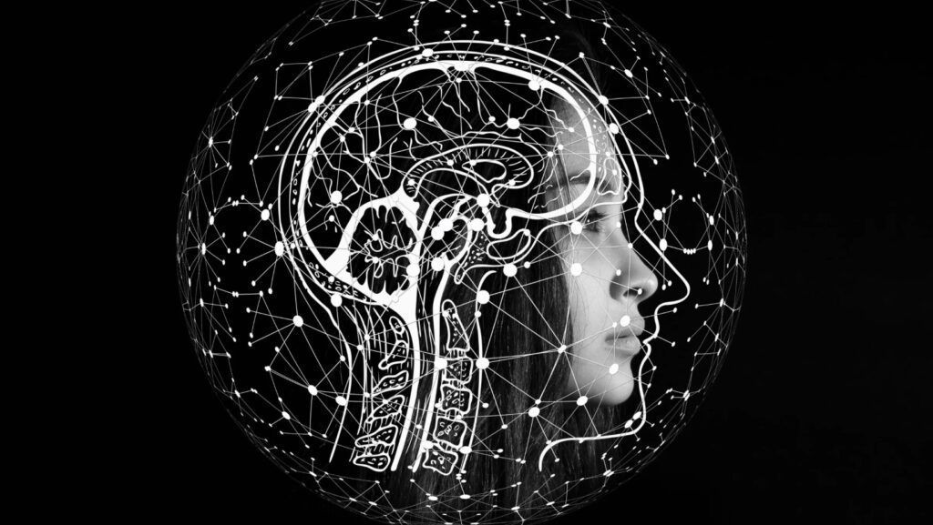 Sanar a la Niña Interior: Neuroplasticidad Cerebral,