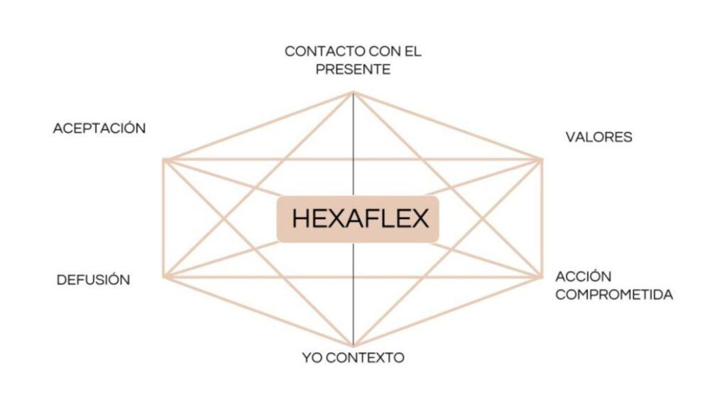 Diagrama explicativo de los seis principios fundamentales de la Terapia de Aceptación y Compromiso (ACT)